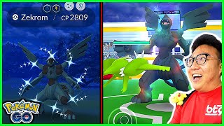 17 Raids on Zekrom Raid Hour in Pokemon GO [upl. by Nosrak]