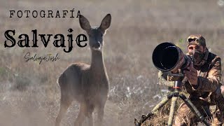 ¡Cazadores de Fauna Un Día en la Vida de un Fotógrafo de Naturaleza [upl. by Marjana]