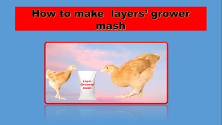 How to make a high layer growers mash in 3 minutes [upl. by Anibor]