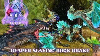 Reaper Slaying Rock Drake  Aberration  Ark Survival Ascended ASA [upl. by Sew]