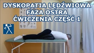 Przepuklina  Dyskopatia lędźwiowa  Ćwiczenia faza ostra  mini kurs 14 I 🇵🇱 🇪🇺 [upl. by Peper]