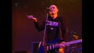 The Smashing Pumpkins  Live in Düsseldorf Germany 1996 [upl. by Dianuj536]