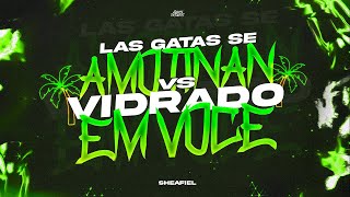 SI LAS GATAS SE AMOTINAN vs VIDRADO EM VOCE ➖ TIKTOK VIRAL REMIX ➖ sheafiel [upl. by Shaff]