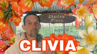 You Wont Believe the Beauty of Clivias at Thurlow Farm [upl. by Ardnekan]