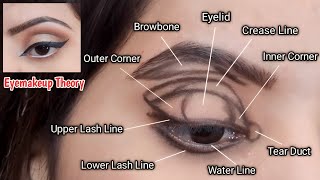 How to apply Eyeshadow according to Theory  EyeShadow tips like a Pro [upl. by Kilian]