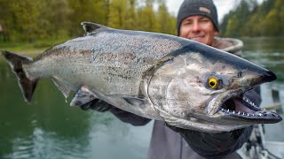 Most EXPENSIVE Salmon in WORLD Catch Clean Cook Chinook [upl. by Chaves9]