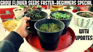 Growing TOMATOES 🍅 From Seed  160 Days Time Lapse [upl. by Tenney]