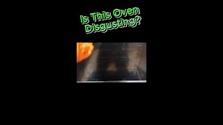 Is This Oven Disgusting [upl. by Aticilef]