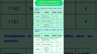 L’écriture comptable de laffectation du résultat [upl. by Enilemme365]