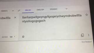 llanfairpwllgwyngyllgogerychwyrndrobwllllantysiliogogogoch in Welsh Google Translate [upl. by Supple]