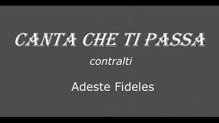 Adeste Fideles contralti [upl. by Eylloh]