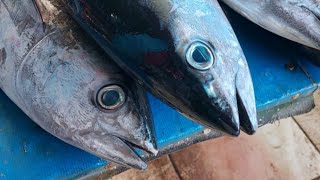 Live 04 Aug 24 ‼️🔥 Cutting fresh yellowfin tuna by skilled hands at Sorong market in Indonesia [upl. by Zosema]