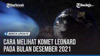 CARA MELIHAT KOMET LEONARD PADA BULAN DESEMBER 2021 [upl. by Otaner141]