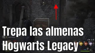 Trepa las almenas  Hogwarts Legacy [upl. by Dalis]