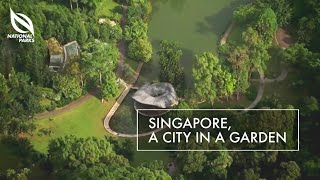 Singapore A City In A Garden [upl. by Eiten]