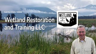 Why Wetlands Hold Water And How They Are Drained Episode 8 Tom Biebighauser [upl. by Heron577]