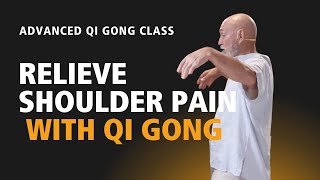 82  Advanced Qi Gong Class  Shoulder Pain Relief Mobilize Qi amp Blood with Wild Goose Flying [upl. by Laefar]