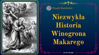 Niezwykła Historia Winogrona Makarego  02 Styczeń [upl. by Ahsyas]