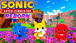 Best Chao  Fast Friends  Sonic Speed Simulator [upl. by Yllut]