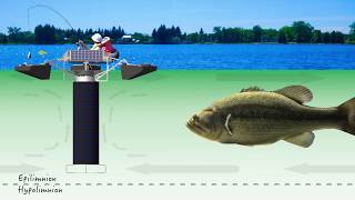 Part 2 Cyanobacteria BlueGreen Algae Control Mechanisms for Lakes amp Source Water Reservoirs [upl. by Katee161]