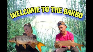 WELCOME TO THE BARBO  CARPAS Y BARBO  CARPFISHING  2024 [upl. by Blim]