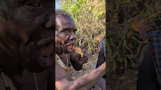 Have you tried this Roots this is So delicious natural food Hadza gather from forest hadzabetribe [upl. by Shulins]