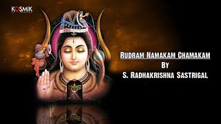 Rudram Namakam Chamakam by S Radhakrishna Sastrigal [upl. by Anoj]