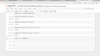 27 Python NLTK WordNetLemmatizer [upl. by Nihcas]