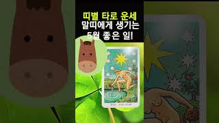 말띠에게 생기는 좋은 일 5월에 생기는 좋은 일 타로 운세 띠별운세 띠별궁합 사주 대박 말띠 [upl. by Pandora575]