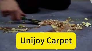 Unijoy Interior Design Carpet Tiles Install [upl. by Guenevere]