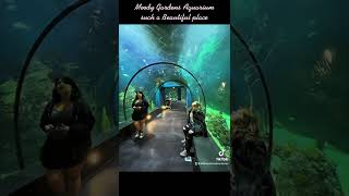 Moody Gardens Aquarium Galveston Tx May 2022 [upl. by Izy]