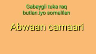 abwaan Camaari iyo gabaygii Tuka raqsoomaaliland iyo puntland [upl. by Weinshienk]