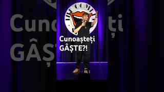 Ioana Luiza  Comedy Store 2024 comedy standupcomedy [upl. by Tim409]