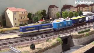 Expo trains StRambert dAlbon 2019  vidéo 298 HD [upl. by Anolahs556]