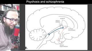 04 14  The NMDA hypofunction hypothesis of schizophrenia  فرضية نقص وظيفة NMDA للفصام [upl. by Pitt494]