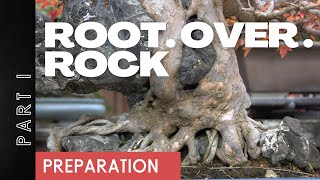 Root over Rock Part 1 Preparation [upl. by Nehgem612]