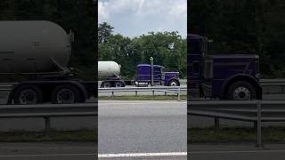 Nice Shade of Purple on This Straight Piped Peterbilt 379 Trucking Down US Route 50 East shorts [upl. by Bhayani841]