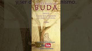 Buda  Sutra 47 Del Audiolibro Los 53 Sutras de Buda audiolibro buda budismo espiritualidad [upl. by Marcell]