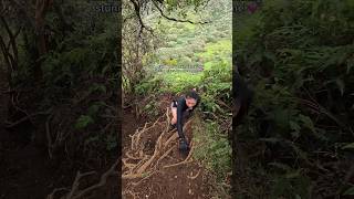 Moanalua valley trail to haiku stairs haikustairs stairwaytoheaven hawaii adventure hike oahu [upl. by Yelich689]