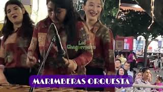 Al son de la Marimberas Orquesta y Marimba orquesta femenil NACAINO [upl. by Carrillo]