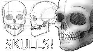 How to Draw Skulls [upl. by Strickland371]