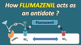 How Flumazenil acts as an antidote for benzodiazepines [upl. by Naul]