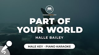 Part Of Your World  Halle Bailey Male Key  Piano Karaoke [upl. by Adnopoz621]