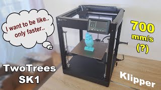 TwoTrees SK1 CoreXY 3D printer review  can it really print at 700 mms [upl. by Delmor842]