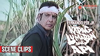 KAPAG LUMABAN ANG API 1987  SCENE CLIPS 1  Fernando Poe Jr Miguel Rodriguez Rio Locsin [upl. by Connell3]