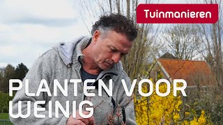 Welke planten zijn er voor een kleine beurs  Tuinaanleg  Tuinmanieren [upl. by Nemra]