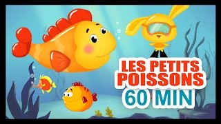 Les petits poissons dans leau  1H DE COMPTINES POUR LES PETITS  Titounis [upl. by Akcired]