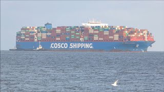 Cosco Shipping Kilimanjaro arrives to the Port of Felixstowe direct from Singapore 20th April 2024 [upl. by Rupert87]