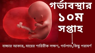 গর্ভাবস্থার দশম সপ্তাহ। সপ্তাহ অনুযায়ী গর্ভাবস্থা ১০ 10 weeks of pregnancy [upl. by Mehitable]