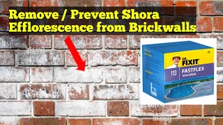 Prevent Shora  Efflorescence from Brick Walls with Dr Fixit Fastflex [upl. by Seymour]